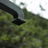 雨上がる