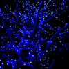 blue-snow