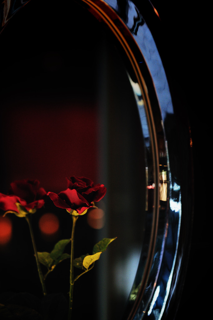 rose
