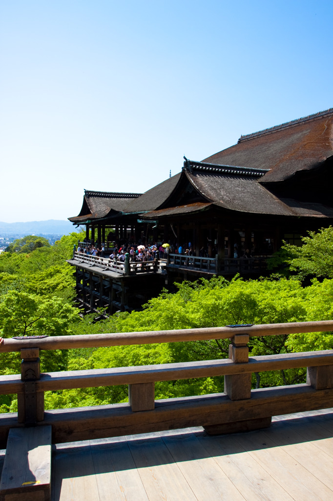 新緑の清水寺