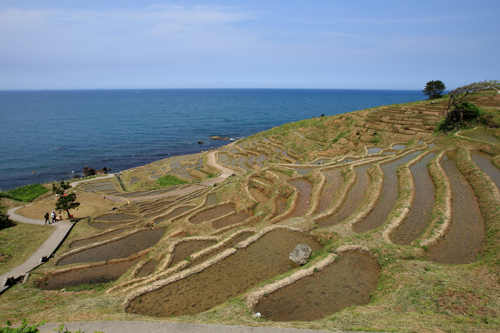 輪島白米千枚田-Ⅰ