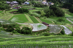 棚田・棚田・棚田・・・・民家に抱かれ