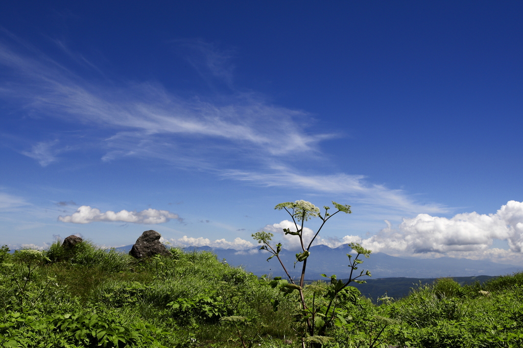霧ヶ峰高原から