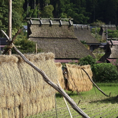 かやぶき　日本の原風景