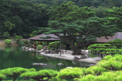 栗林公園 Ⅳ 根上り五葉松