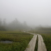 キリ・霧の栂池自然園