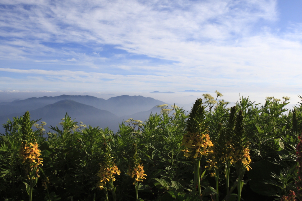 伊吹　山の風景