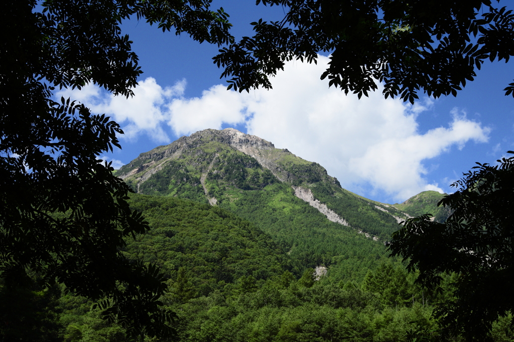 木々の間の焼岳