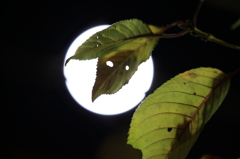 小望月と晩秋の風情