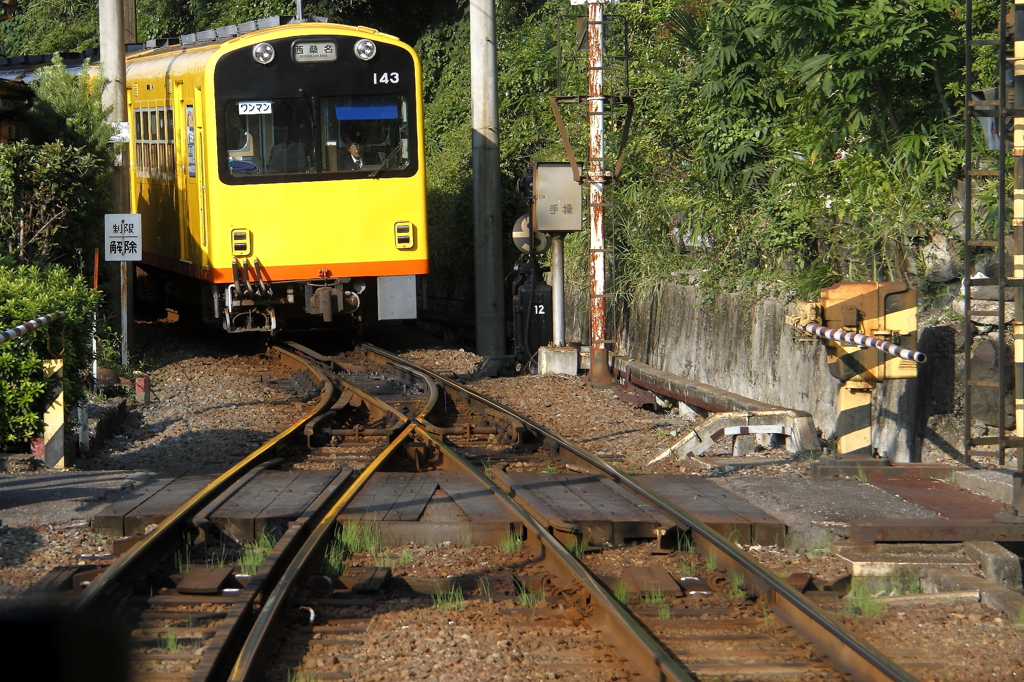 鉄撮り　黄色のかわいい電車