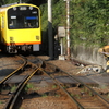 鉄撮り　黄色のかわいい電車