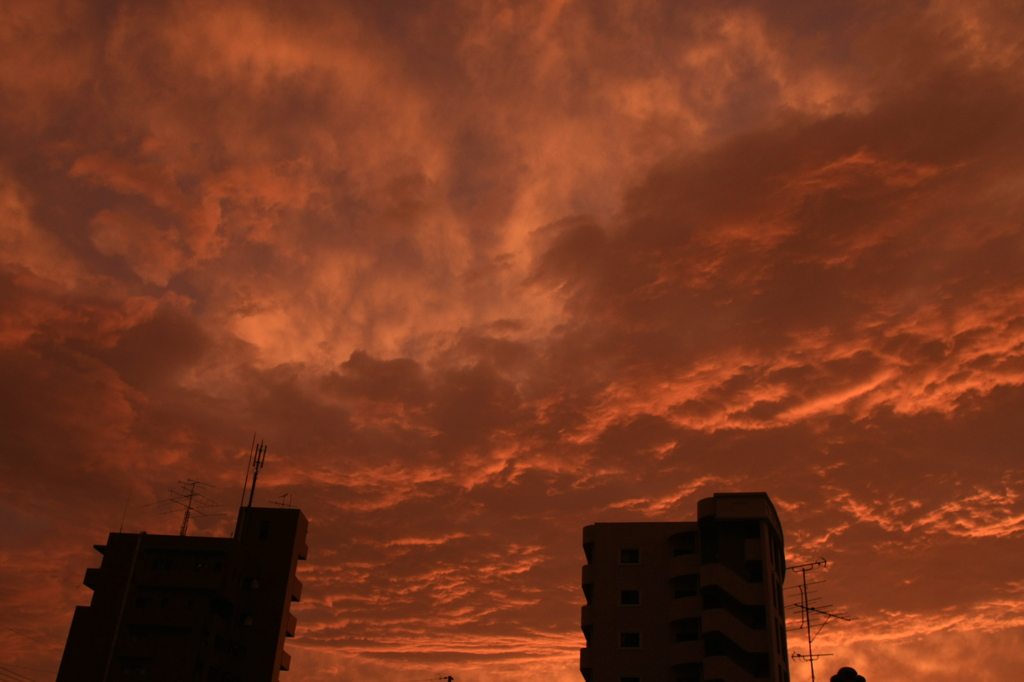 茜の雲Ⅰ　