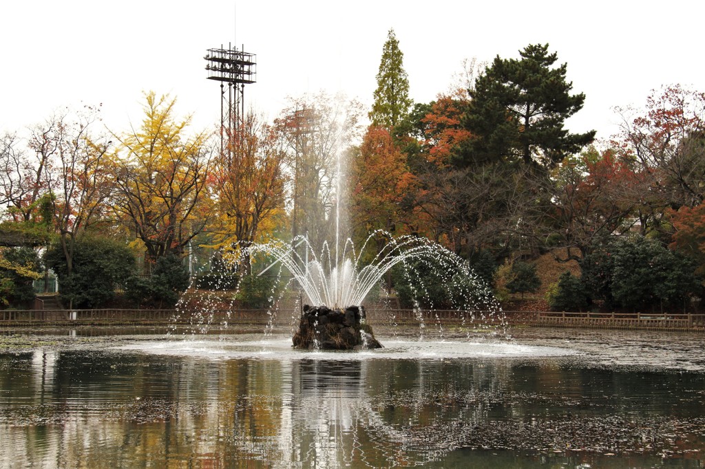 近所の公園 小さな秋