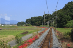 運転席から・・・ではありません