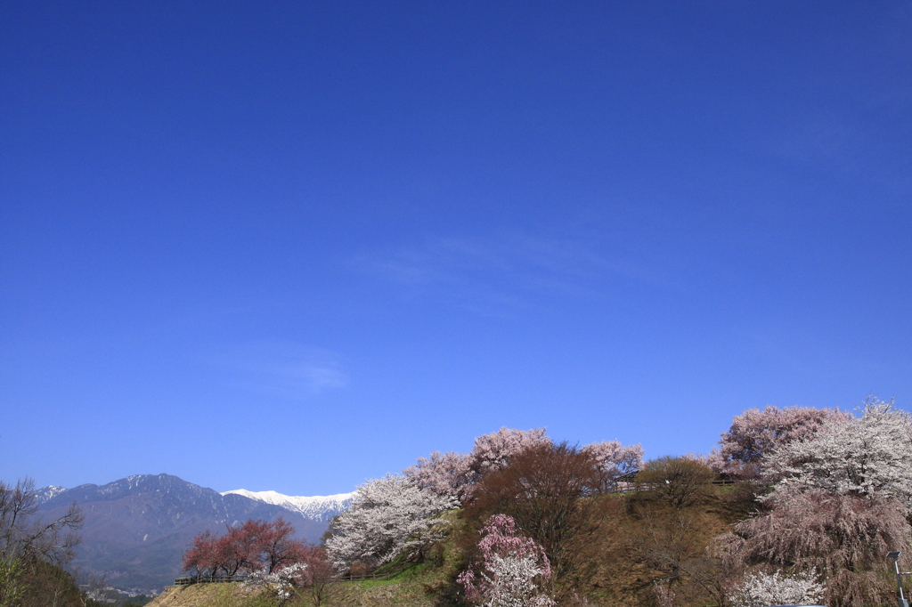 空・空・快晴の空
