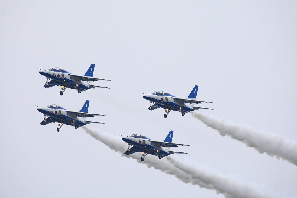 BLUE IMPULSE 岐阜基地 2010