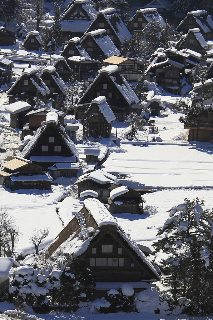 雪の白川郷を“切り撮る”
