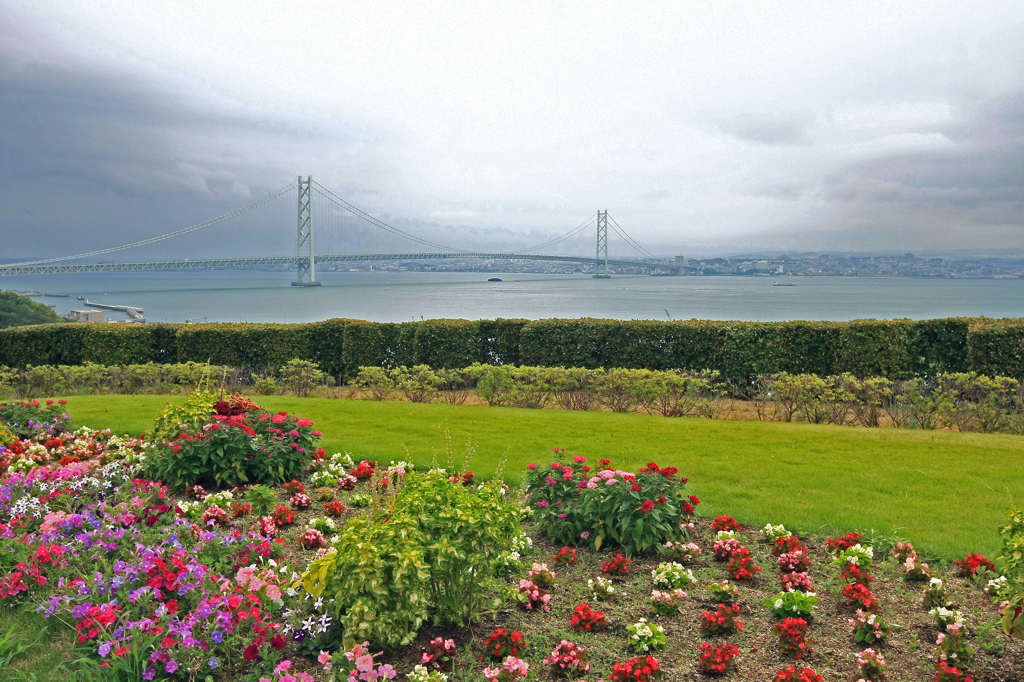 遠景に明石海峡大橋