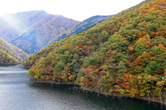 徳山湖の紅葉
