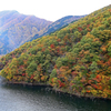 徳山湖の紅葉