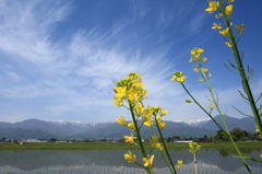 安曇野散歩Ⅰ