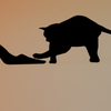 ちょん・ちょん・・・猫とハイヒール