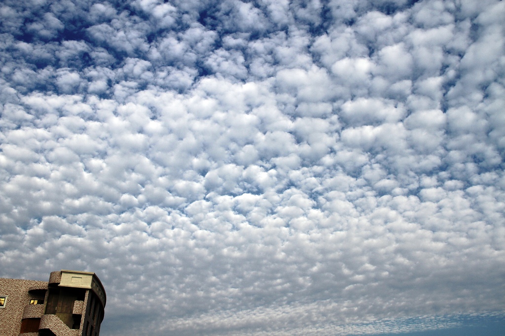 今朝・西の空