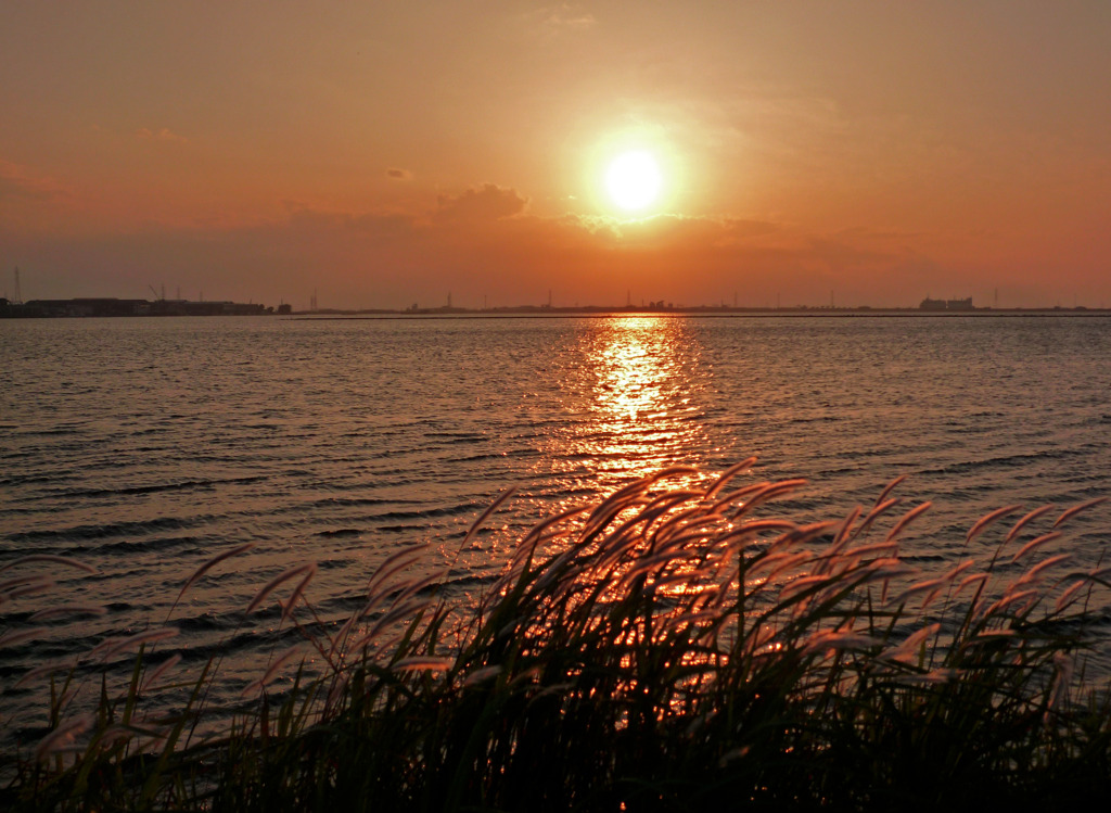 夕日