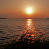 夕日