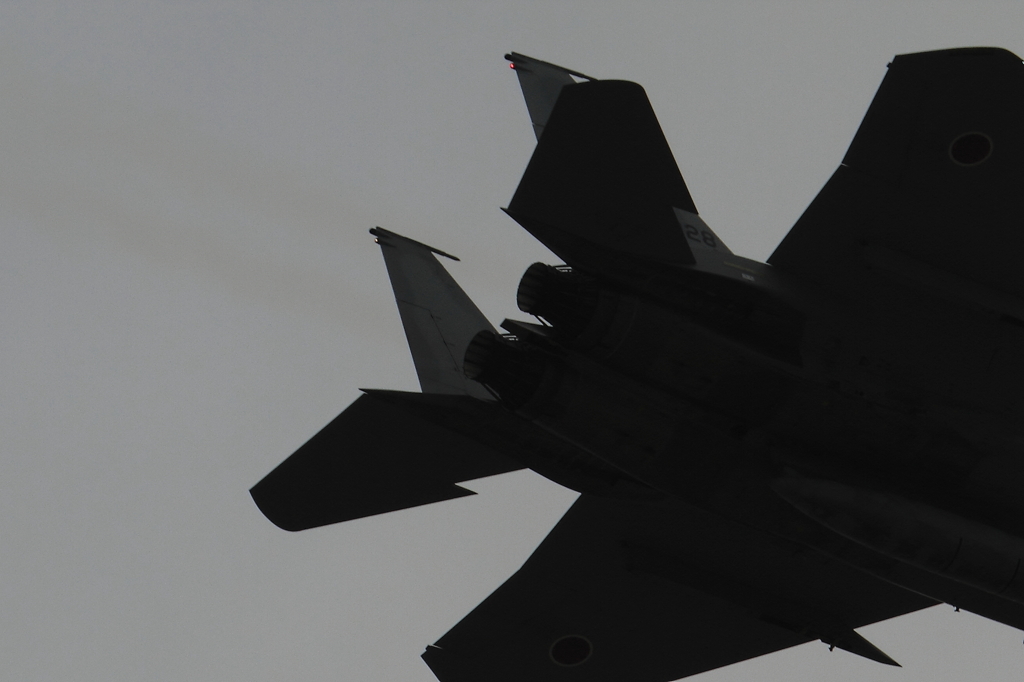 F15 頭隠して・・ＸＸ隠さず