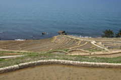 輪島 白米千枚田－Ⅱ