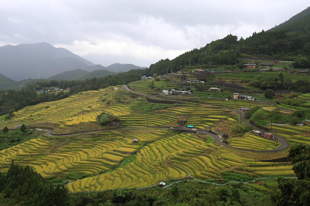 実りの里　丸山千枚田