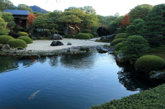 足立美術館日本庭園