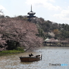 横浜三渓園