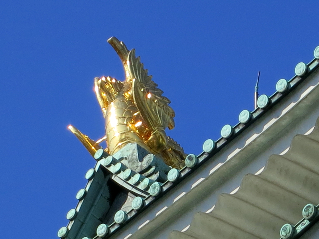 金の鱗