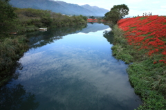 津屋川堤を赤く染める曼珠沙華