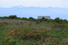 高ボッチ山