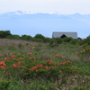 高ボッチ山