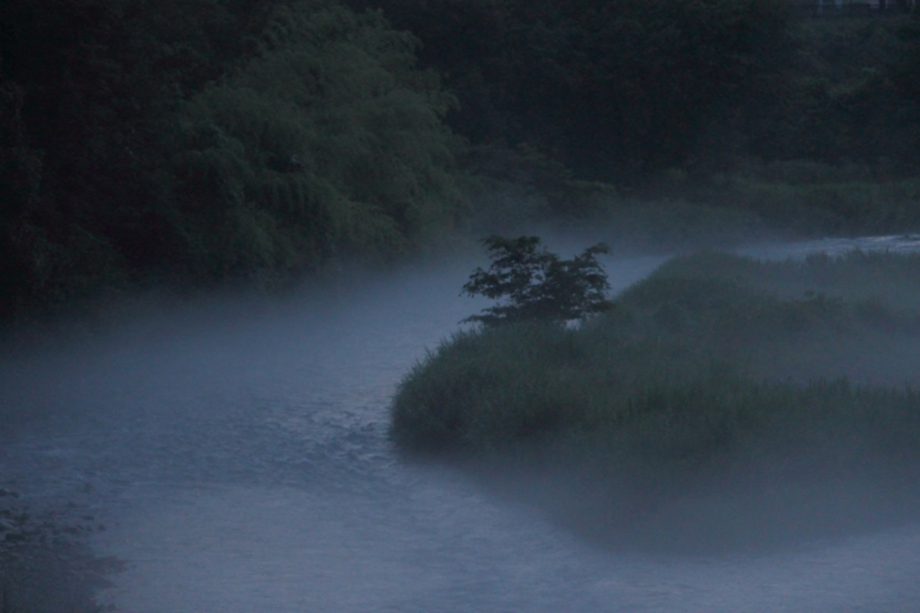 靄立つ川面