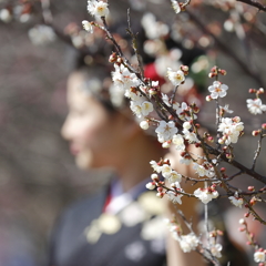 華と花