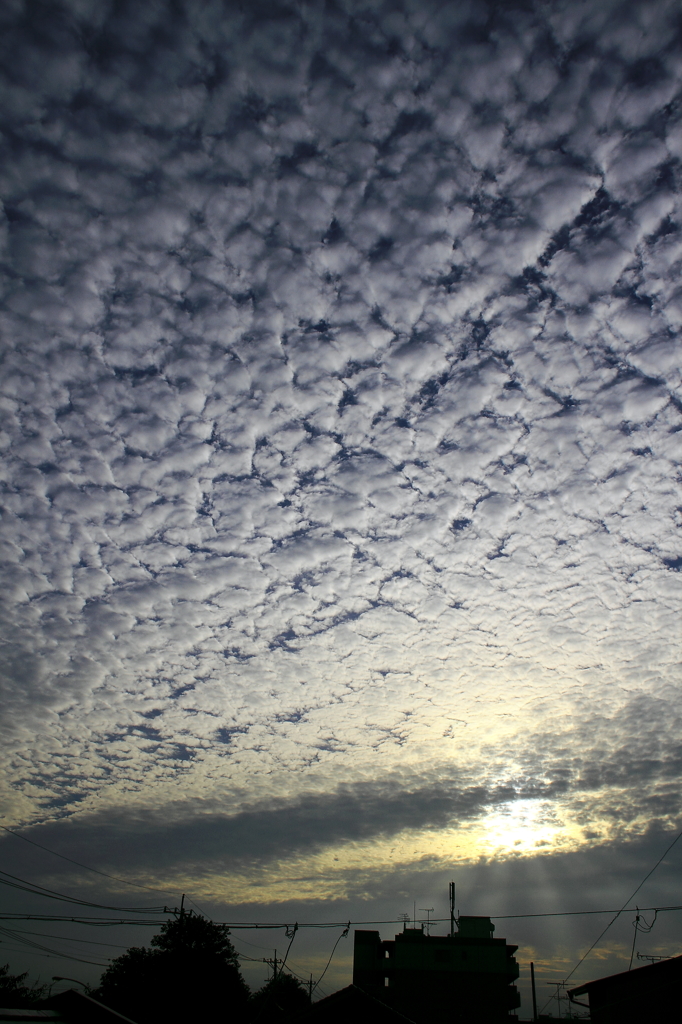 早朝 東の空　に