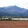 中川村 赤そばの花とＪＲ飯田線と中央アルプス