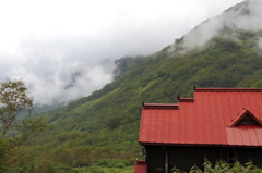 栂池自然園