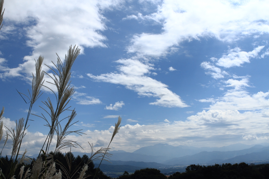 伊那高原の秋