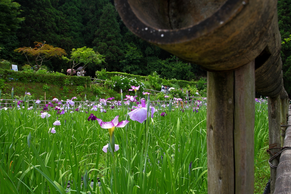 大安禅寺