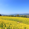 「まったり」 この風景 -Ⅰ