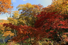 志賀高原　琵琶池遊歩道の紅葉