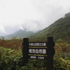 雨の栂池自然園