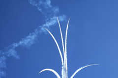 BLUE IMPULSE