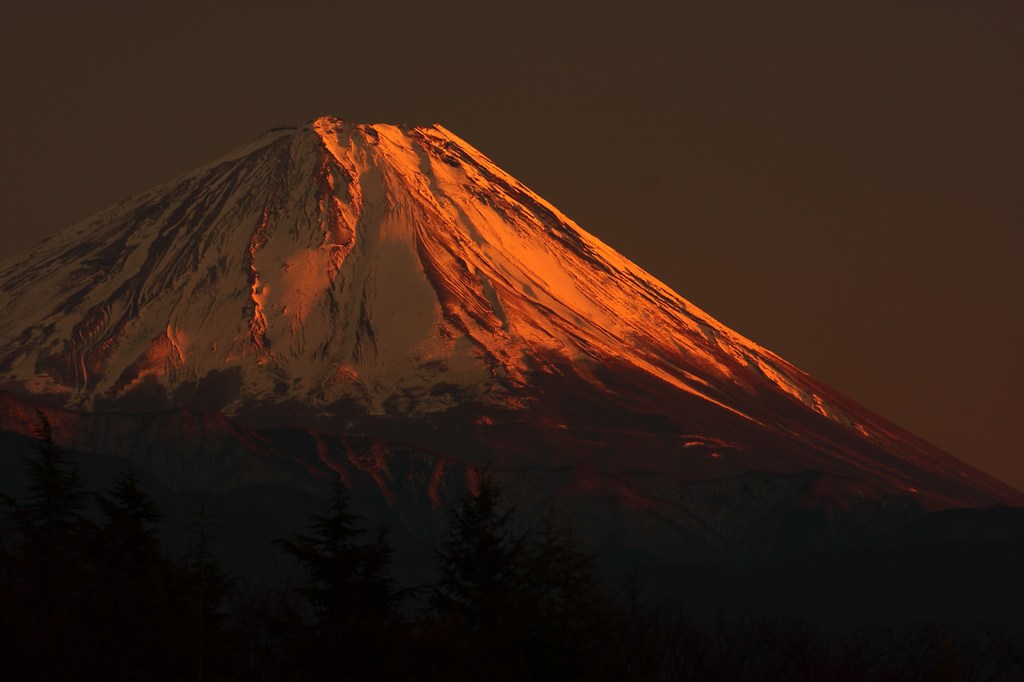 夕映えに輝く